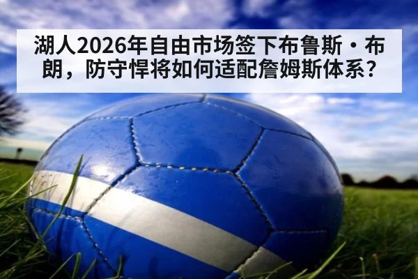 湖人2026年自由市场签下布鲁斯·布朗，防守悍将如何适配詹姆斯体系？（kaiyun）