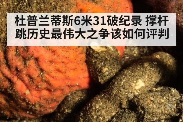 杜普兰蒂斯6米31破纪录 撑杆跳历史最伟大之争该如何评判（kaiyun）